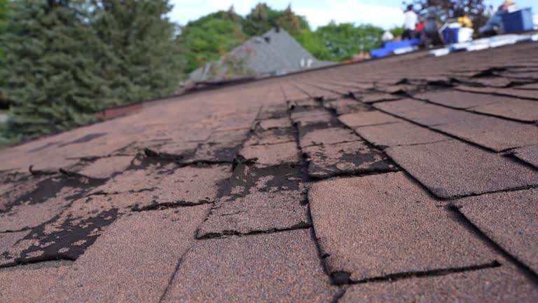 Best Roof Maintenance and Cleaning  in Ogdensburg, NJ