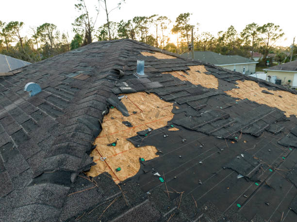 Best Roof Moss and Algae Removal  in Ogdensburg, NJ